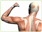 Muscular-Skeletal treatment